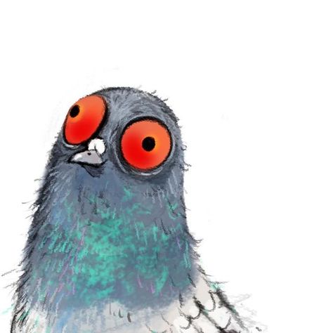 Wiebke Rauers on Instagram: "…can‘t understand why some people hate pigeons- I love them" Cartoon Animals To Draw, Pigeon Drawing, Pigeon Illustration, Pigeon Art, Cartoon Drawings Of Animals, Animals Illustration, Funny Paintings, Owl Illustration, Printmaking Art