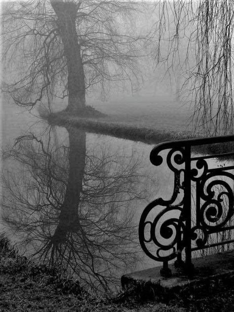 Spooky Victorian park photo Dark Academia Marauders, Goth Aesthetic Victorian, Black Rose Aesthetic, Edgar Allen Poe Aesthetic, Poe Aesthetic, Edgar Allen Poe Art, Gothic Collage, Trees Black And White, Poetic Photography