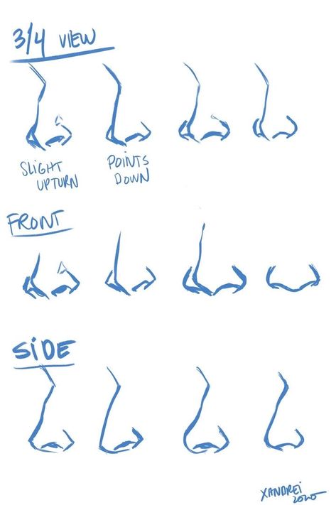 Nose Drawing, Body Drawing Tutorial, Drawing Help, Human Anatomy Art, Body Reference Drawing, Drawing Expressions, Art Help, Drawing Refs, Body Drawing