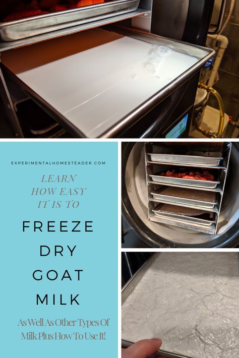 Learn how to freeze dry goat milk as well as other types of milk. Plus learn how to use it and how to store it long term. #howtofreezedrygoatmilk #freezedrygoatmilk #freezedrymilk #freezedryingfood #freezedrystrawberries #freezedryerrecipes Types Of Milk, Goat Milk Soap Recipe, Harvest Right Freeze Dryer, Freeze Dryer, Tiny Farm, Grape Nuts, Freezable Meals, Cereal Bar, Dried Corn