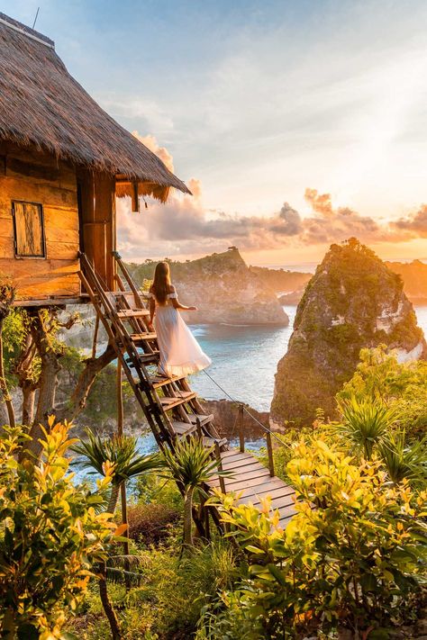 Bali Travel Photography, Bali Itinerary, Bali Honeymoon, Bali Vacation, Bali Travel Guide, Bali Beaches, Nusa Penida, Morning Person, Real Tree