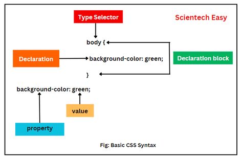 CSS selectors Html Layout, Css Style, Learn Javascript, Css Tutorial, Learn Html, Html And Css, Style Definition, Warehouse Management, Style Rules