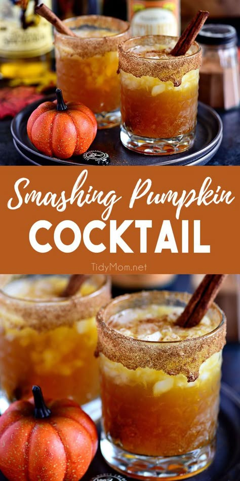 30+ Spooky Halloween Cocktails You Need To Make! This includes halloween cocktail recipes, halloween cocktails for a crowd, halloween cocktails easy, halloween cocktail recipes for a crowd, halloween cocktails vodka, halloween cocktail party and more! This also includes halloween drinks, halloween drinks alcohol, halloween drink ideas, halloween party drinks, spooky cocktails, halloween cocktails tequila and more! #halloweencocktails #halloweendrinks #halloweencocktailrecipes Pumpkin Smash, Pumpkin Ale, Fall Cocktails Recipes, Thanksgiving Drinks, Boozy Drinks, Fall Cocktails, Halloween Drinks, Jello Shots, Fall Spices