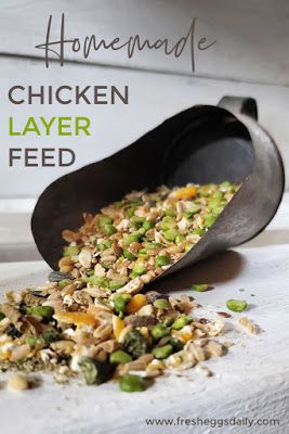 Diy Chicken Layer Feed Recipes, Homemade All Flock Feed, Homemade Chicken Feed Recipes, Diy Layer Feed, Chicken Layer Feed Recipe, Diy Chicken Layer Feed, How To Make Your Own Chicken Feed, Homemade Duck Feed, Homemade Chicken Feed