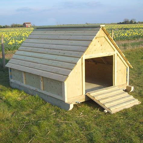 Duck House Diy, Duck House Plans, Duck Houses, Duck Pens, Goose House, Ducks And Chickens, Backyard Ducks, Cute Chicken Coops, Duck Coop