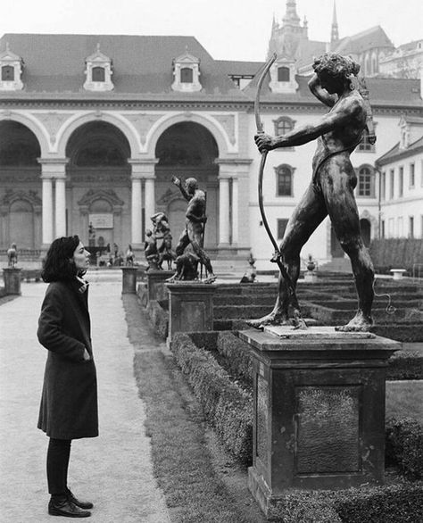 Elliott Erwitt Photography, Elliot Erwitt, Chestnut Tree, Elliott Erwitt, Palace Of Versailles, Retro Mode, Dark Academia Aesthetic, The Secret History, Academia Aesthetic