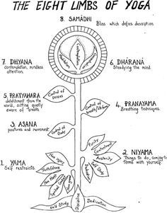 Patanjali's 8 Limbs of Yoga ------------ 1. Sanskrit Yamas: Ahimsa, Satya, Asteya, Brahmacharya, Aparigraha 2. Sansrit Niyamas: Saucha, Santosha, Tapas (also means 'heat'), Svadhyaya, Ishvarapranidhana Limbs Of Yoga, Eight Limbs Of Yoga, 8 Limbs Of Yoga, Pranayama Breathing, Yoga Ashtanga, Yoga Tree, Ashtanga Vinyasa Yoga, Yoga Vinyasa, Yoga Sutras