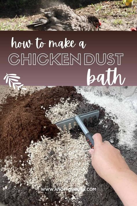 Coop Roost Ideas, Diy Dust Bath, Chicken Coop Roost Ideas, Chicken Coop Roost, Chicken Roosting Bars, Chicken Roosts, Chicken Roost Ideas, Chicken Dust Bath, Chicken Bath