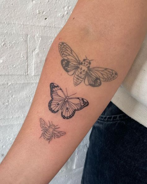 Emily on Instagram: “Thank you Mabel 🖤 #finelinetattoo Bee and butterfly are fresh Healed cicada from last years flash may.” Bee Tattoo Arm, Bees And Butterflies Tattoo, Bee And Moth Tattoo, Half Bee Half Butterfly Tattoo, Butterfly Bee Tattoo, Butterfly And Hummingbird Tattoo, Moth Tattoo Back Of Arm, Butterfly And Bee Tattoo, Bee And Butterfly Tattoo