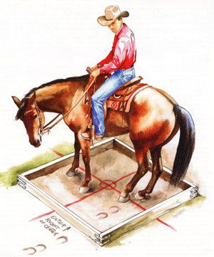 Trail Horse Obstacles, Obstacle Course Ideas, Horse Activities, Horse Obstacles, Trail Horse, Horse Showing, Horse Lessons, Course Ideas, Diy Horse