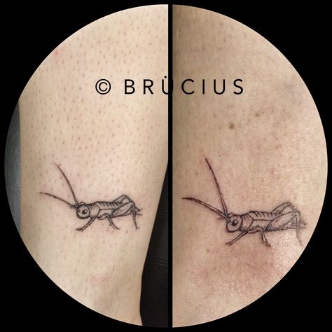 #BRÜCIUS #TATTOO #SF #etching #cricket #firsttattoo #momanddaughter #ankle Cricket Tattoo, Bug Tattoo, Sleeves Ideas, Stick And Poke, S Tattoo, First Tattoo, Tattoo Inspo, Get A Tattoo, Tattoo Idea