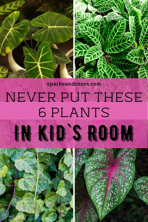 Plants In Playroom, Common House Plants, Toddler Proofing, Planting For Kids, Interior Tips, Household Plants, Newborn Nursery, Poisonous Plants, Floor Plants