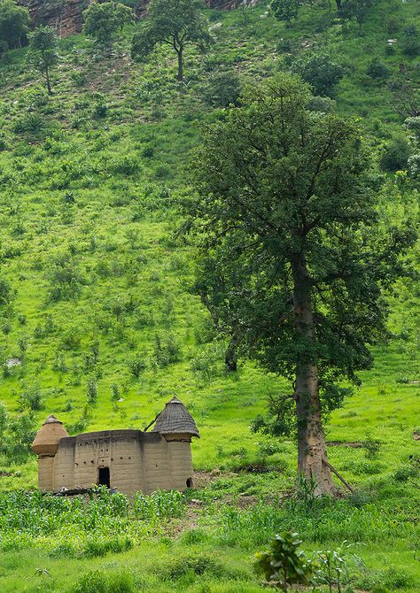 African Architecture, African Life, Movie Ideas, Travel Africa, The Gambia, Thatched Roof, African Countries, Yemen, Ivory Coast