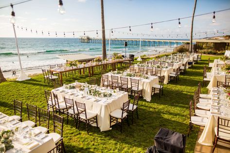 Bria and Tyler Photos | Scripps Seaside Forum Scripps Seaside Forum, San Diego Wedding Photography, San Diego Wedding, Tropical Wedding, La Jolla, Wedding Modern, Wedding Inspo, Dolores Park, San Diego