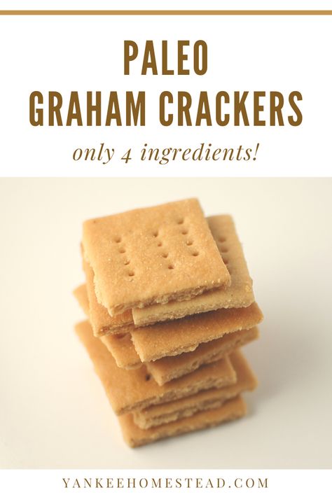 Gluten Free Graham Cracker Recipe, Graham Cracker Recipe, Homemade Graham Cracker, Paleo Kids, Cracker Recipe, Graham Cracker Recipes, Gluten Free Graham Crackers, Paleo Snack, Crackers Recipe