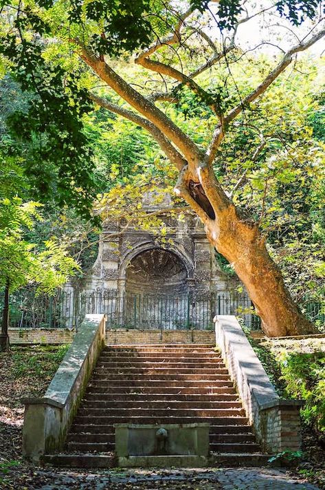 Rome Off The Beaten Path: 32 Best Hidden Gems In Rome Best Food In Rome, Rome Bucket List, Places In Rome, Free Things To Do In Rome, Rome Winter, Rome Guide, Trastevere Rome, Appian Way, Rome Travel Guide