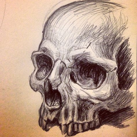 Human skull sketch. Skull Biro Sketch, Human Skull Sketch, Gothic Drawings, Badass Drawings, Skull Sketch, Natural Form Art, Art Alevel, Skulls Drawing, Sketch Tattoo Design