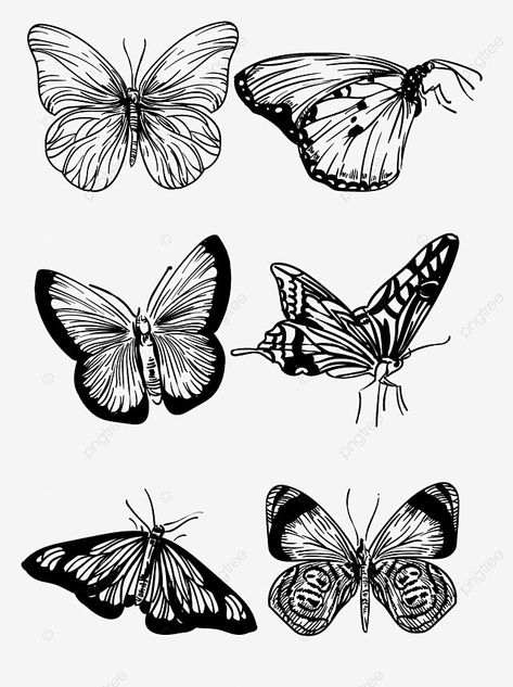 Butterfly vector hand drawn realistic line drawing pattern Line Drawing Pattern, Butterfly Landing, Wing Drawing, Fly Drawing, Butterfly Vector, Logo Cloud, Drawing Png, Black And White Cartoon, Psd Background