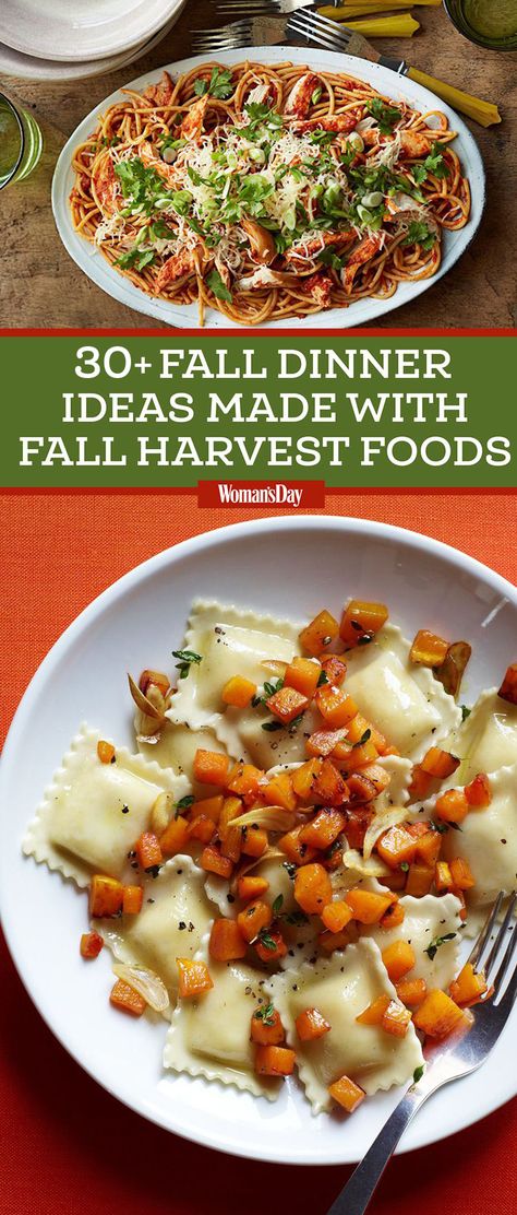 From squash to apples, the best of autumn flavor is right here. Get all the fall dinner ideas you need! #falldinnerrecipes #fallrecipes #dinnerrecipes Cold Summer Dinners, Fall Dinner Ideas, Easy Fall Dinners, Hearty Dinner Recipes, Fall Dinner Party, Sweet Potato And Apple, Chicken Sweet Potato, Harvest Recipes, Fall Dinner Recipes