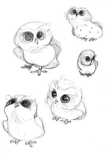 Baby Animal Drawings, Owls Drawing, 캐릭터 드로잉, Arte Sketchbook, Cat Eyes, Animal Sketches, Bird Drawings, Drawing Tutorials, Art Tutorial