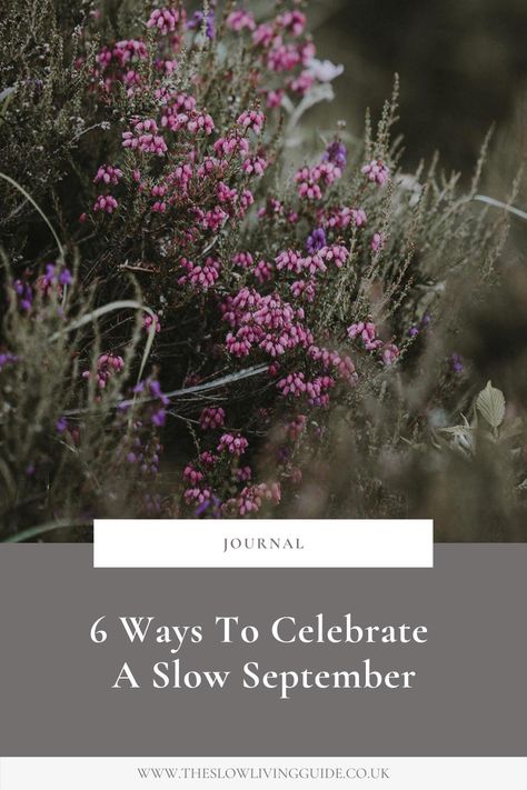 6 Ways To Celebrate A Slow September | The Slow Living Guide Detox Day, Smell Of Rain, Summer Scent, Slow Life, Summer Memories, Outdoor Picnics, Sustainable Brand, Slow Living, Summer Activities