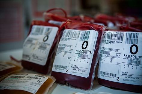 Transfusion Medicine, Clinical Pathology, Blood Disorders, Blood Components, Molecular Genetics, Personalized Medicine, Blood Bank, Phlebotomy, Cell Therapy