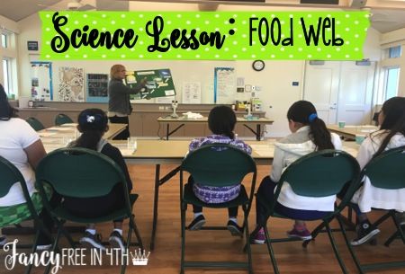 Life Science Fun Watercolor Classroom, Sentence Stems, 8th Grade Ela, Class Theme, First Day Of Summer, Classroom Decor Themes, Close Reading, Middle School Science, New Students