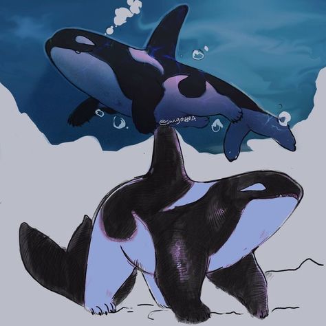 Cute Creature Concept Art, Orca Oc, Ocean Character Design, Cute Mythical Creatures, Orca Drawing, Fantasy Pets, Orca Art, Mythical Animal, Cute Fantasy Creatures