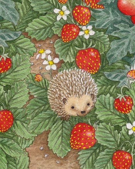 Hedgehog Drawing, Hedgehog Illustration, Woodland Animal Art, Animal Illustration Art, Hedgehog Art, Creature Drawings, Cute Hedgehog, Unique Baby Gifts, Hedgehogs