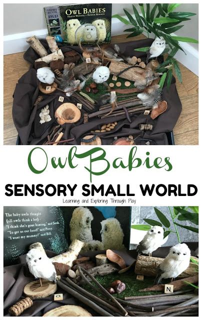 Owl Sensory Activities, Owl Babies Tuff Tray, Owl Sensory Bin, Owl Babies Activities, Owl Babies Eyfs Activities, Curiousity Approach, Owl Babies Book, Owl Crafts Preschool, Winter Eyfs