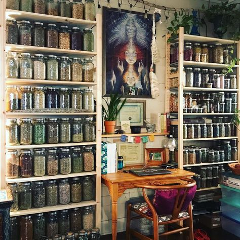 Whispering Roots Apothecary🌿 on Instagram: “My office...🌿💕 beautiful artwork @autumnskyeart . . . . . #office #sacredspace #herbalism #herbalstudies #herbs #herbalist #botany…” Apothecary Decor, Office Shed, Plants Are Friends, Office Office, Wedding Hair Flowers, Pinterest Blog, Photo Search, My Office, Medicinal Herbs