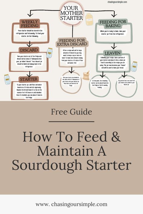 Feeding and Maintaining a Sourdough Starter- Free Guide Feeding And Maintaining Your Sourdough Starter, Sourdough Guide For Beginners, Sourdough Starter Feeding Chart, Sourdough Temping Guide, Feeding Your Sourdough Starter, Sourdough Starter Feeding Ratio, Sourdough Feeding Schedule, Feeding Sourdough Starter, Feeding Sourdough