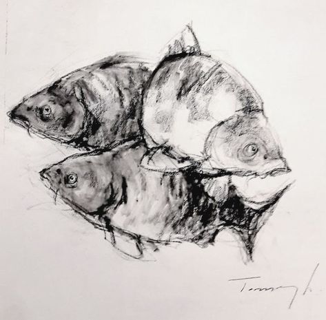 Fekete kréta , papír . 
35 x 35 cm Charcole Drawings, Charcoal Painting, Charcoal Paint, Fish Drawing, Fish Artwork, Fish Drawings, Drawing Ink, Charcoal Drawing, Fish Art