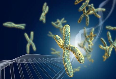 Telomeres - DNA and chromosones Bone Diseases, Slow Aging, Bone Loss, Senior Health, Anti Aging Tips, Senior Fitness, Healthy Beauty, Healthy Aging, Bone Health