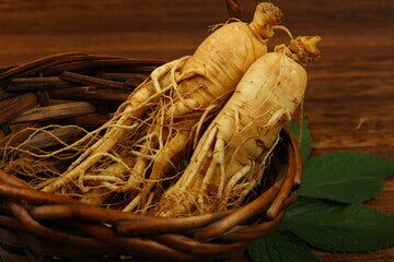 Asian Ginseng, also known as Panax Ginseng, has been widely used in traditional Asian wellness practices for millennia. It is one of the first herbs documented in the original Chinese Materia Medica (believed to have been written during the Han Dynasty, 220 BCE), the textbook used in Traditional Chinese medicine. As one of the most revered plants in Traditional Chinese Medicine, Asian Ginseng was used for nearly all aspects of health, including energy, libido, fertility, immunity, and digestion, Wellness Practices, Herbal Education, Panax Ginseng, The Han Dynasty, Red Ginseng, Han Dynasty, Infused Oils, Traditional Chinese Medicine, Chinese Medicine