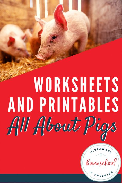 Worksheets and Printables All About Pigs #allaboutpigs #learningaboutpigs #pigprintables #pigresources Pig Science Preschool, Pig Activities For Kids, Pig Activities, Agriculture Education Lessons, Charlottes Web Activities, Ag Classroom, National Pig Day, 4h Ideas, Zoo Crew