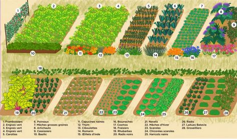 F. Brunet - Rustica Plan Potager, Garden Layout Vegetable, Backyard Renovations, Square Foot Gardening, Earthship, Food Garden, Backyard Makeover, Garden Layout, Growing Vegetables