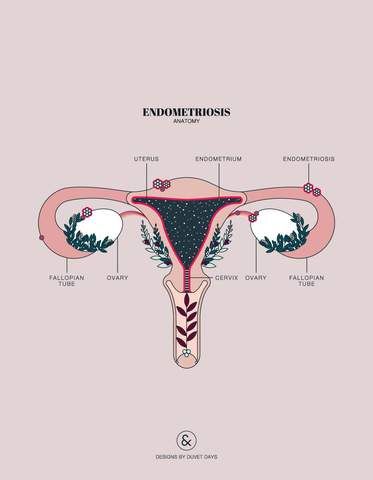 Pelvis Anatomy, Endo Warrior, Uterine Prolapse, Lung Anatomy, Breastfeeding Twins, Duvet Day, Ectopic Pregnancy, Heart Anatomy, Brain Anatomy