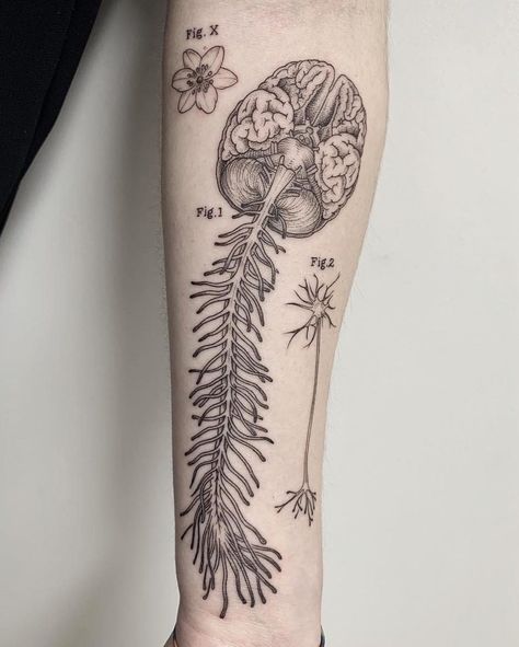 Bone Tattoos Anatomical, Brain Surgery Tattoo Ideas, Neurology Tattoo, Fine Art Tattoos, Microbiology Tattoo, Schematic Tattoo, Surrealism Tattoo Design, Surgery Tattoo, Scientific Tattoo