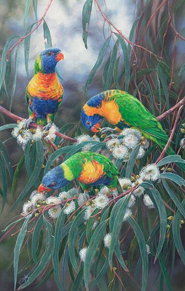 White Cockatoo, Australian Fauna, Australian Painting, Parrots Art, Australian Wildlife, Australian Flora, Bird Paintings, Australian Birds, Study Help