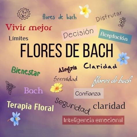 Bach Remedies, Bach Flowers, Designer Collage, Design Photo, Collage Maker, Reiki Healing, Photo Editor, Photo Collage, Graphic Designer