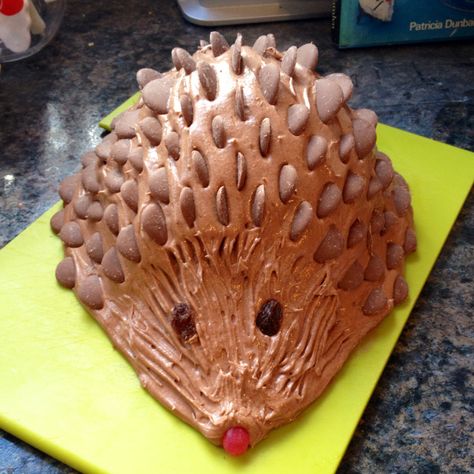 Classic 80s cake: Harriet Hedgehog Cake How-to | PinksCharming: Becky Pink's Blog www.pinkscharming.com Porcupine Cake, Chocolate Hedgehog, Wear Wolf, Wolf Party, Chocolate Cadbury, Wolf Cake, Sonic Birthday Cake, Sonic The Hedgehog Cake, Hedgehog Cake