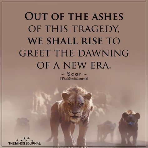 Out Of The Ashes - https://themindsjournal.com/out-of-the-ashes/ Out Of The Ashes Quotes, Ashes To Beauty, Rise From The Ashes Quote, Rising From The Ashes Art, Rising From The Ashes Quote, Beauty From Ashes Art, Dont Fall In Love, Disney Animated Movies, Everything Will Be Alright