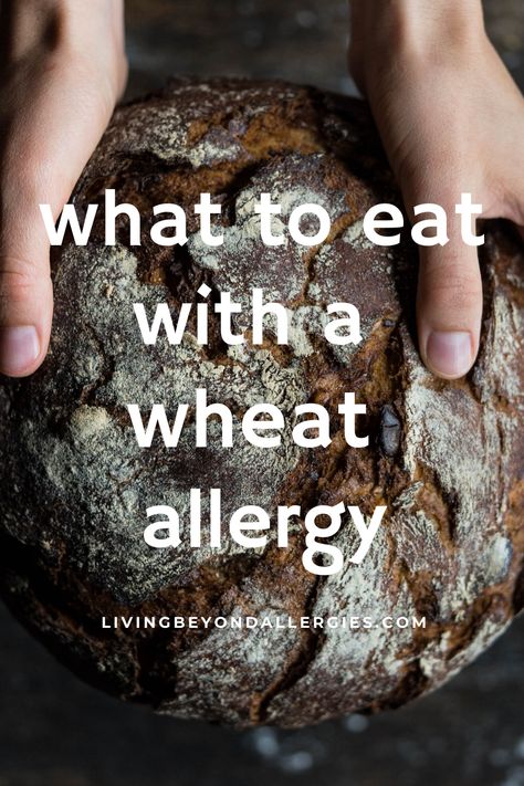 Dairy And Wheat Free Diet, Non Wheat Diet, Wheat Free Flour, Wheat Allergy Food List, No Wheat Recipes, Wheat Allergy Diet, No Wheat Diet, Wheat And Dairy Free Recipes, Wheat Substitute