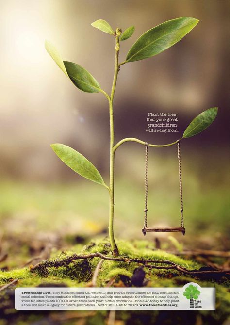 Plant the tree that your great grandchildren will swing from. Great Grandchildren, Ad Of The World, Publicidad Creativa, Best Ads, Poster Ads, Creative Posters, Creative Ads, Advertising Agency, Ads Creative