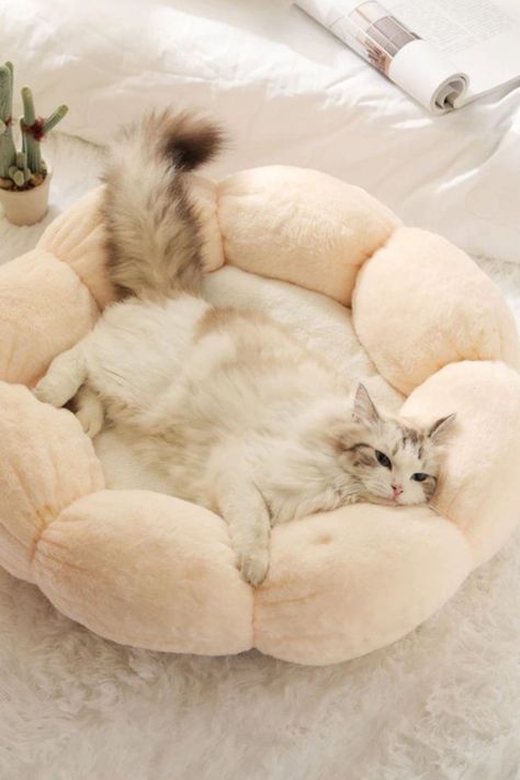 Cute Cat Beds Aesthetic, Flower Cat Bed, Aesthetic Cat Products, Cute Things For Cats, Cute Cat Products, Cat Supplies Aesthetic, Aesthetic Pet Bed, Cute Cat Furniture, Cute Pet Bed