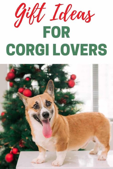 Best Corgi Gifts | Gift Ideas for Corgi Lovers | Corgi Gifts For Her #doglovers #christmasgifts #giftguide Gift Ideas For Animal Lovers, Corgi Gift Ideas, Gifts For Older Women, Corgi Mug, Corgi Gifts, Corgi Christmas, Corgi Mom, Sloth Gift, Succulent Gifts