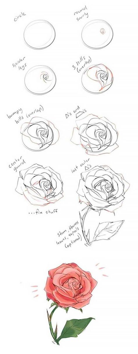 Ako Kresliť, Rose Step By Step, Illustration Rose, Couple Drawing, Wall Art Crafts, Drawing Faces, Cool Wall Art, Guided Drawing, Flower Doodles