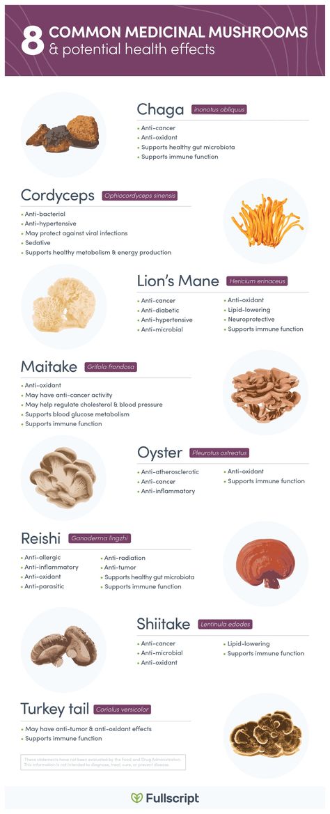 Health Benefits Of Mushrooms, Mushroom Benefits, Herbal Healing, Herbs For Health, Healing Food, Healing Herbs, Immune Health, Medicinal Herbs, Natural Medicine