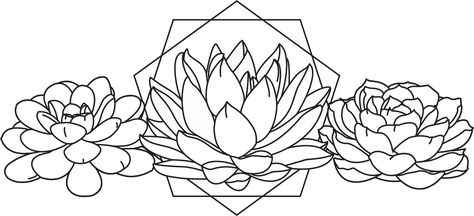 Line Drawing Succulent For Free Download - Succulent Drawing Succulent Line Drawing, Succulent Outline, Succulent Drawing, Hanging Cactus, Succulent Tattoo, Succulents Drawing, Print Drawing, Procreate Ipad Art, Succulent Art